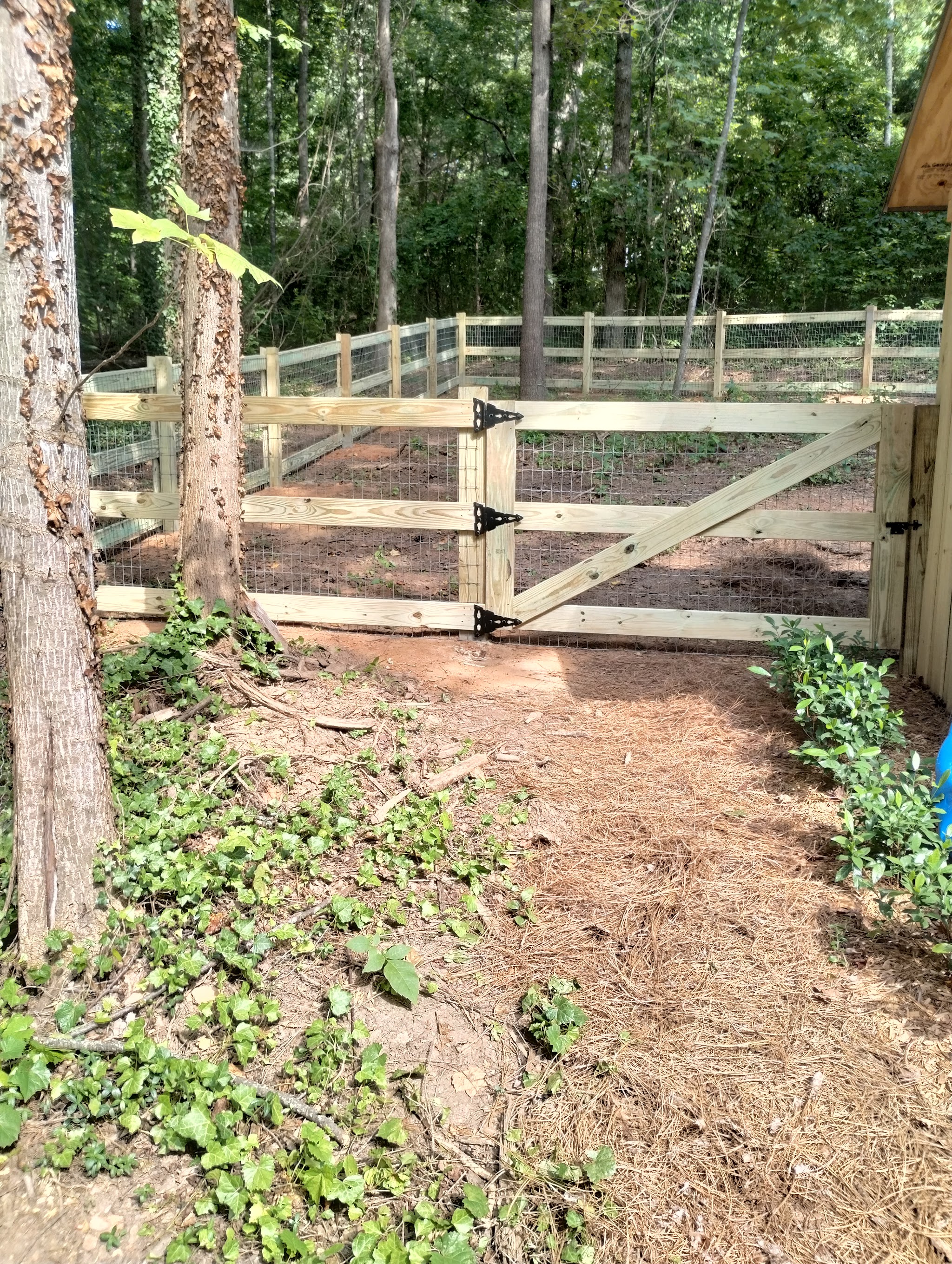 Wood post-and-rail fence with wire mesh and a braced gate running through the trees
